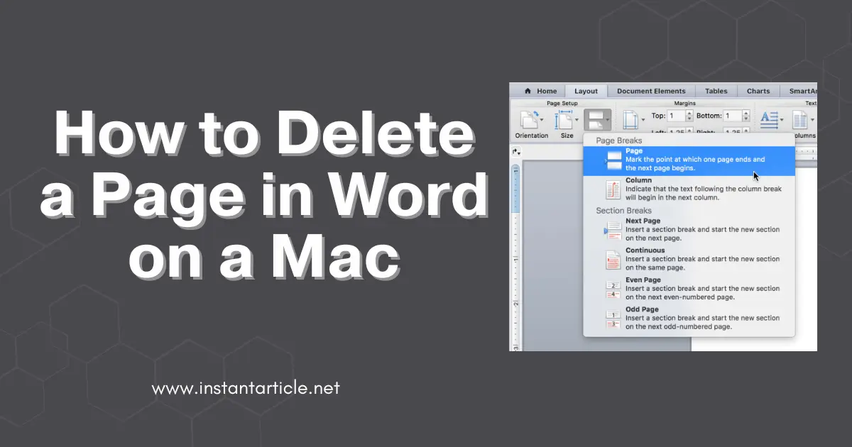 Page break in Word on Mac with article title "How to Delete a Page in Word on a Mac" from instantarticle.net